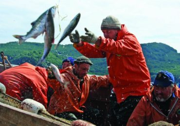 ВСД по «рыбным» позициям ПП № 1875: подтверждение происхождения — при поставке, а не в заявке