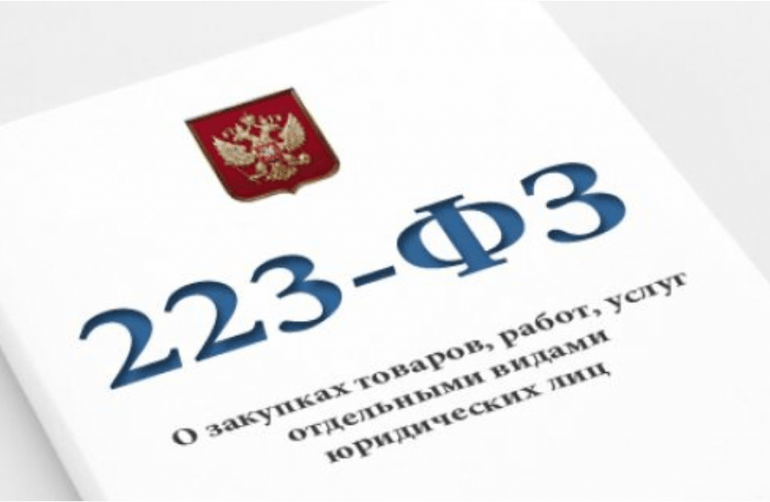 Наиболее распространенные нарушения и инициативы ФАС России по модернизации Закона о закупках (223-ФЗ)