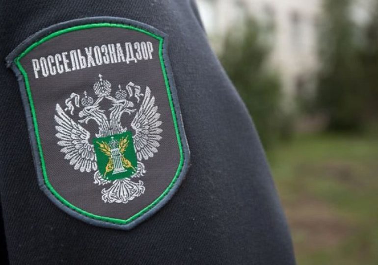 Замруководителя управления Россельхознадзора Журавлев арестован в Иркутске