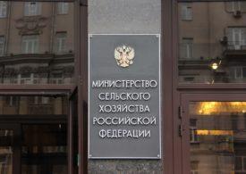 Минсельхоз подтвердил: «российские бананы» в закупках — недостоверные сведения. Решения УФАС уже следуют