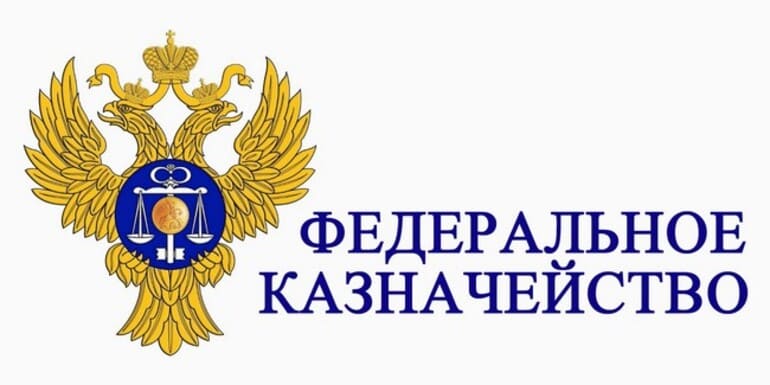 Онлайн-конференция по новым подходам к осуществлению проверок бюджетных и закупочных документов Казначейства России