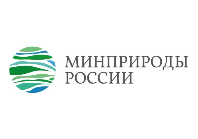 Минприроды России подготовило разъяснения о реализации "зеленой" модели госзакупок